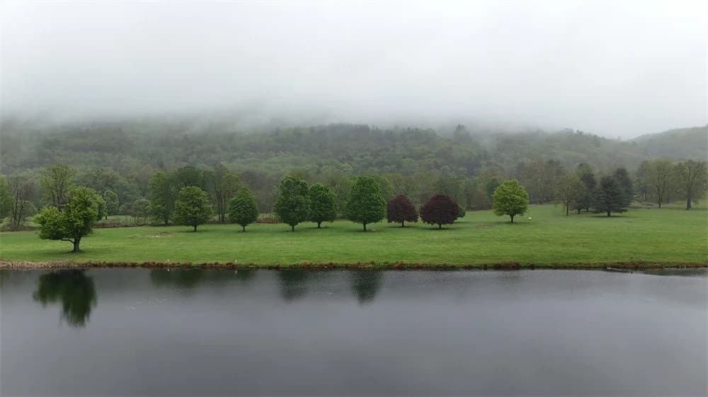 Misty morning at Honor's Haven